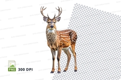 Majestic deer clipart isolated white background wildlife Product Image 1