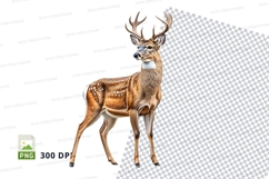 Majestic deer clipart PNG isolated white background wildlife Product Image 1