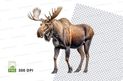 Majestic moose clipart png isolated white background Product Image 1