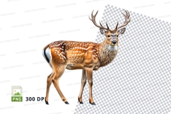 Deer clipart isolated white background wildlife animal Product Image 1