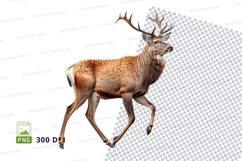 Majestic elk clipart running in snowy forest winter wildlife Product Image 1