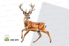 Deer clipart isolated transparent PNG high detail brown wild Product Image 1