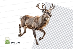 Majestic elk clipart running in winter snow transparent PNG Product Image 1