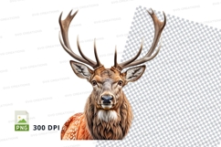Majestic red deer stag clipart PNG isolated white background Product Image 1