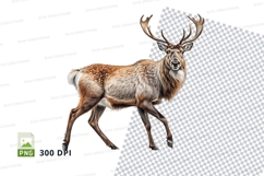 Majestic deer clipart running in snowy forest illustration Product Image 1