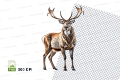 Majestic deer clipart isolated on transparent background PNG Product Image 1