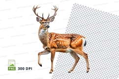 Deer clipart isolated transparent background wildlife illust Product Image 1