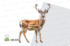 Majestic deer clipart PNG isolated white background wildlife Product Image 1