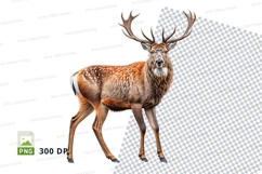 Majestic deer clipart isolated transparent background wildli Product Image 1