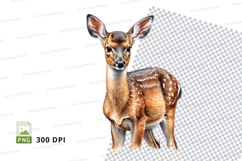 Baby deer clipart isolated transparent PNG high detail Product Image 1
