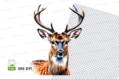 Realistic deer head clipart isolated transparent PNG 300 DPI Product Image 1