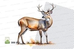Majestic deer clipart isolated on transparent background PNG Product Image 1