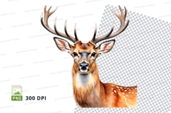 Majestic deer clipart PNG isolated white background Product Image 1