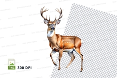 Male Deer Clipart Isolated White Background Wildlife Product Image 1
