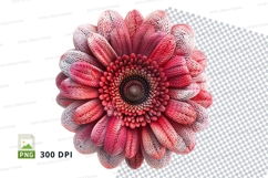 Vibrant pink gerbera daisy clipart PNG high resolution Product Image 1