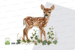 Baby deer fawn standing in green meadow clipart png Product Image 1