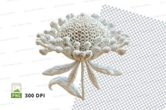 White lace flower clipart PNG high detail elegant decoration Product Image 1