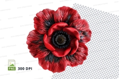 Red poppy flower clipart PNG high resolution isolated Product Image 1
