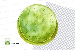 Fresh green kiwi fruit slice isolated clipart png Product Image 1
