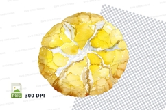 Lemon slice clipart transparent PNG high detail citrus fruit Product Image 1