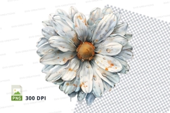 White chamomile flower clipart transparent PNG high detail Product Image 1