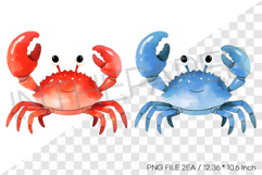 Red Blue Crab PNG Clipart Summer Ocean Watercolor Illust Product Image 1