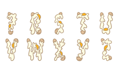 Cracked Egg Lettering Font Hand Drawn Food ABC PNG SVG Type Product Image 4