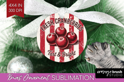 Cranberries Vintage Fruit Ornament PNG Summer PNG Product Image 1
