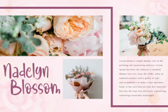 Cranberry Blossom Font Product Image 7