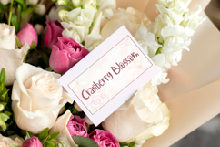 Cranberry Blossom Font Product Image 8