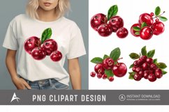 Watercolor Cranberry Clipart Product Image 1
