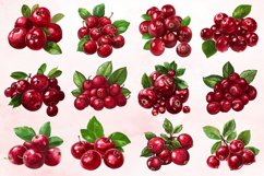 Watercolor Cranberry Clipart Bundle Product Image 2