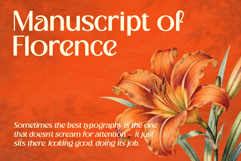 Cranio - Modern Sans Serif Display Font Product Image 6