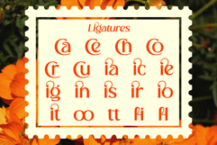 Cranio - Modern Sans Serif Display Font Product Image 8