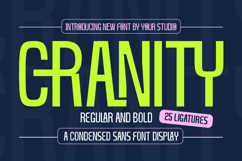 Cranity - Condensed Sans Serif Display Font Product Image 1