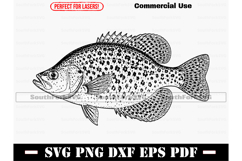 Crappie SVG PNG DXF EPS PDF Product Image 1