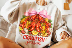 Crawfish Season Mardi Gras PNG, Fleur De Lis, Fat Tuesday Product Image 2