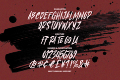 Crawn Migeos Brush Display Font Product Image 8