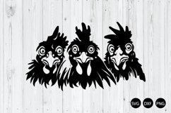 Crazy Peeking Chickens SVG, Funny Chicken SVG, Animal SVG Product Image 1