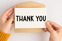 Cream Ginger Product Image 8