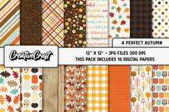 Autumn Fall Digital Paper, thanksgiving digital scrapbook Product Image 2