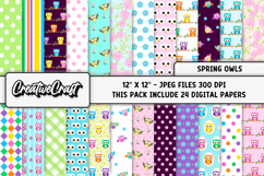 Spring Owls Digital Paper, springtime digital paper designs Product Image 2