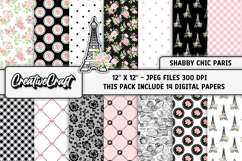 Shabby Chic Digital Papers, shabby chic background designs Product Image 2