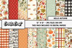 Autumn Fall Digital Paper, thanksgiving digital scrapbook Product Image 2