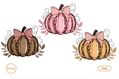 Thanksgiving pumpkin png Product Image 1