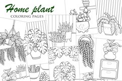 Home Plant Monstera Cactus Aloe Vera Coloring Set Kids Adult Product Image 1