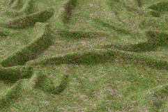 Seamless Green Grass Ground Textures Pack 4K - 16 Textures Product Image 4