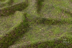 Seamless Autumn Moss Ground Textures Pack 4K - 12 Textures Product Image 5