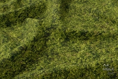 Seamless Green Grass Ground Textures Pack 4K - 16 Textures Product Image 5