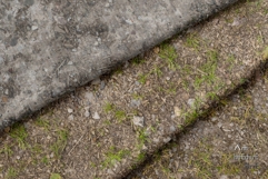 Seamless Wet Mud Ground Textures Pack 4K Product Image 7